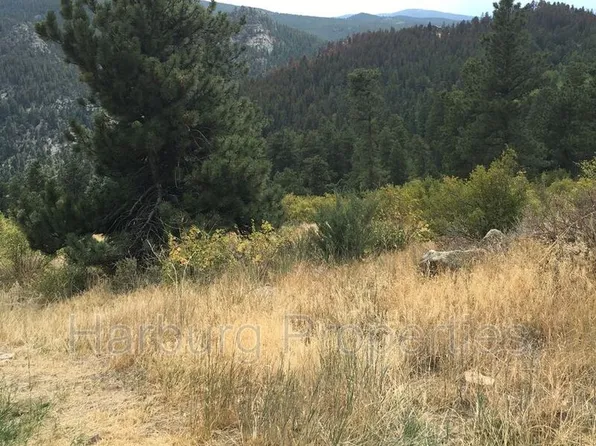 3322 Ridge Rd, Nederland, CO 80466