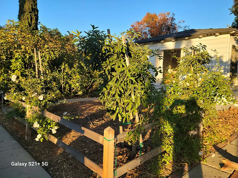 1438 Roycroft Ave — Photo 1