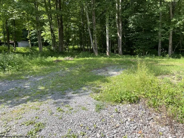 LOT 1 Kimberly Ln, Kingwood, WV 26537