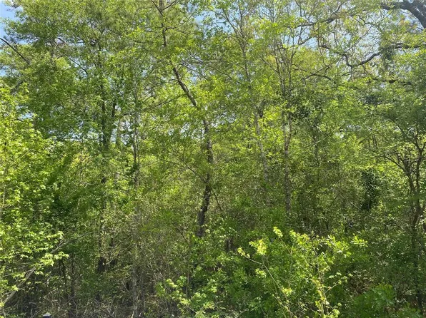 0 Hollybrook Dr Lot 9, Plantersville, TX 77363