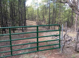 Forest Rd, Ramah, NM 87321