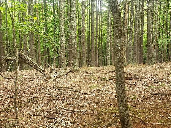 3rd image of LOT 80 McIntosh Dr Lot 80