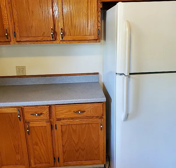 1163 Higgins Ave — Photo 12