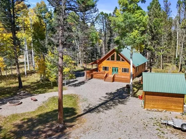 750 Deer Trail, Cimarron, CO 81220