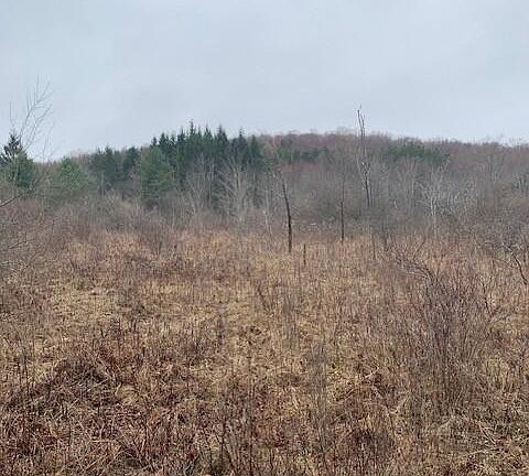 4th image of Jackson Valley Rd