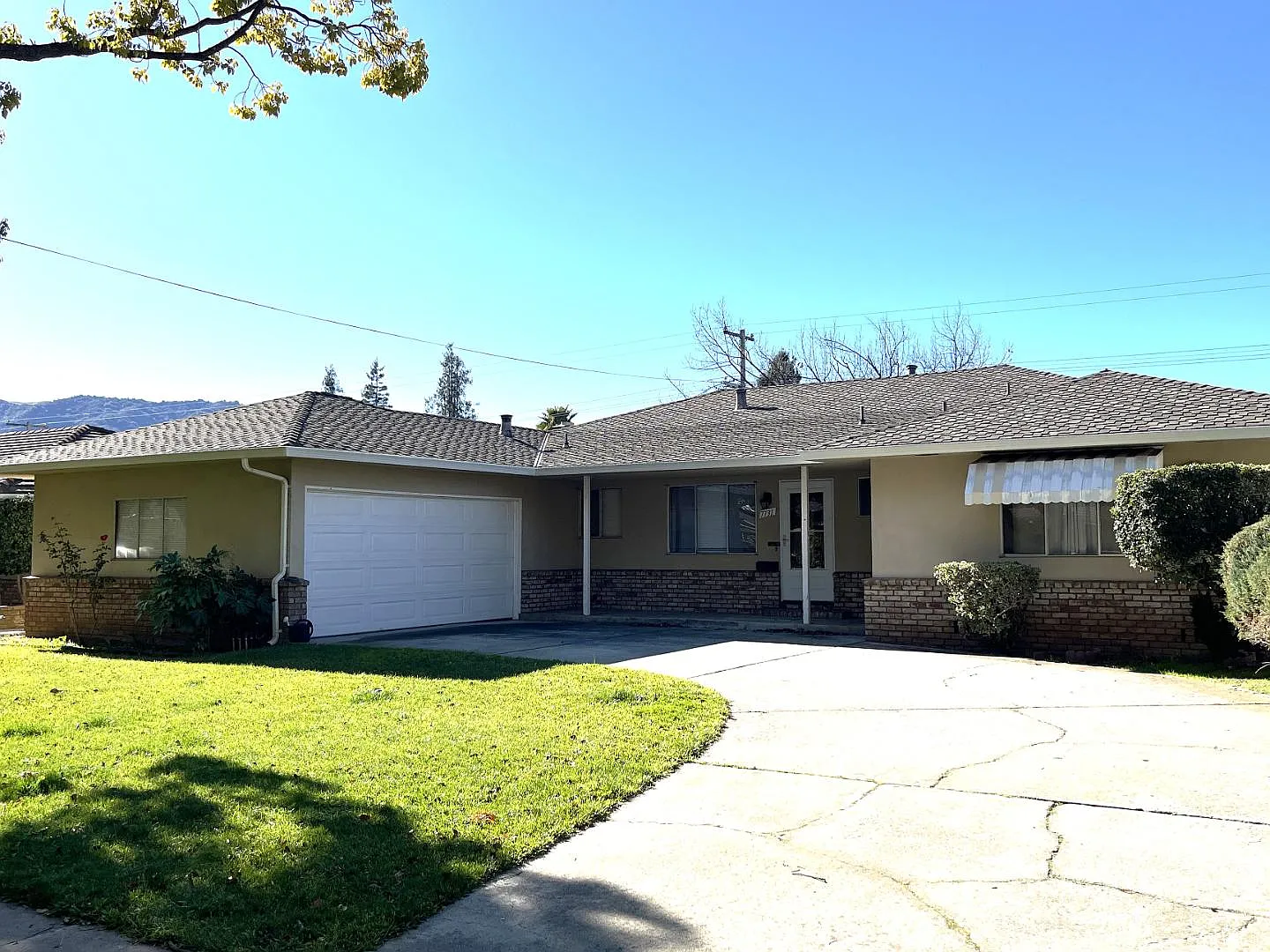 7731 Filice Dr — Photo 2