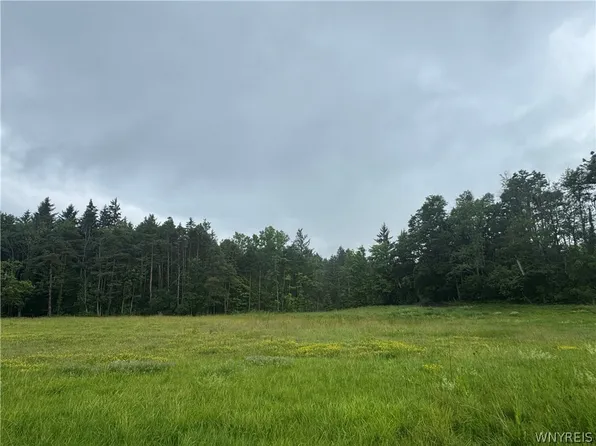 2630 Attica Rd Lot 71, Attica, NY 14011