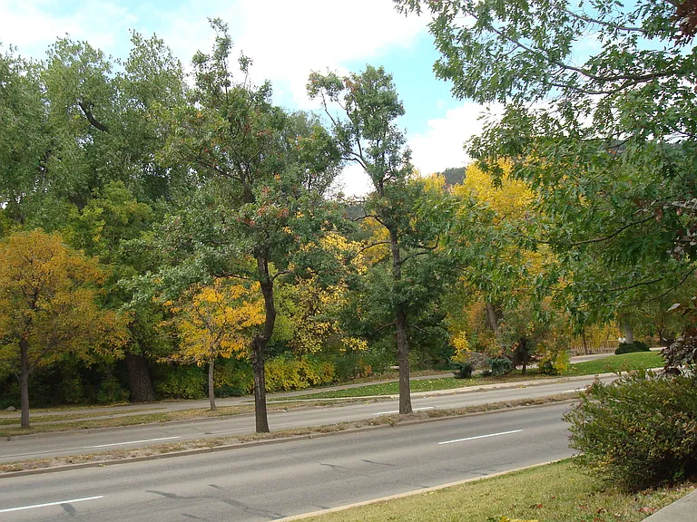 812 Walnut St #C — Photo 15