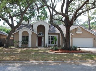5717 Piney Lane Dr, Tampa, FL 33625