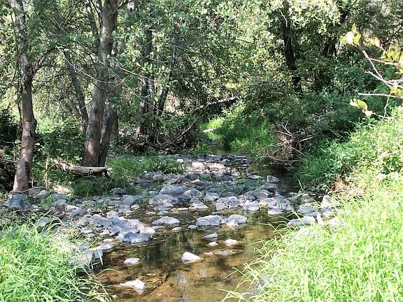 2nd image of 1780 Shady Creek Ln