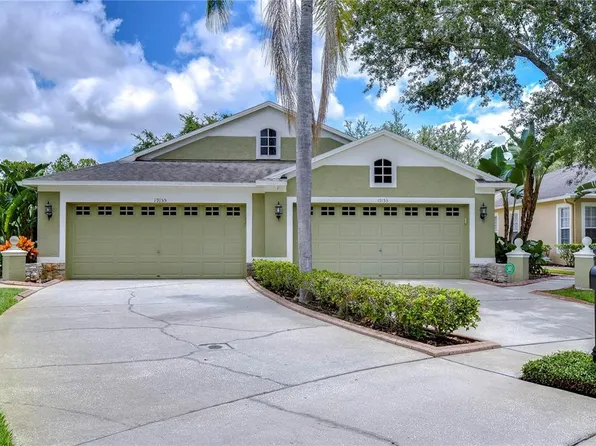 19153 White Wing Pl, Tampa, FL 33647