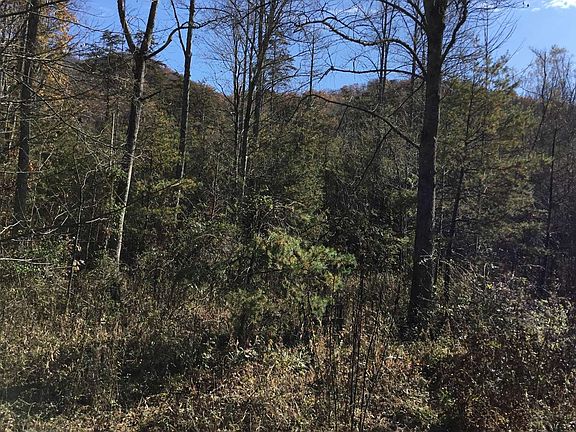 5th image of 2200 Deer Run