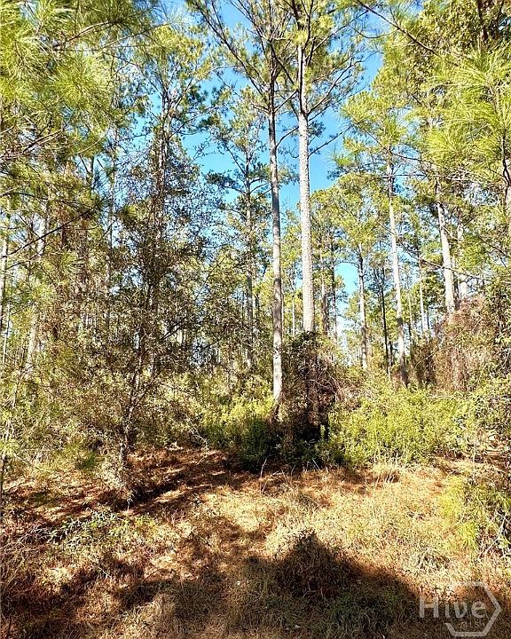 2nd image of 0 Marsh Way