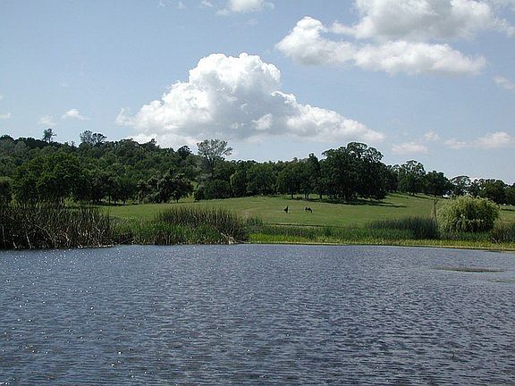 2nd image of 1416 Lakeside Dr #0