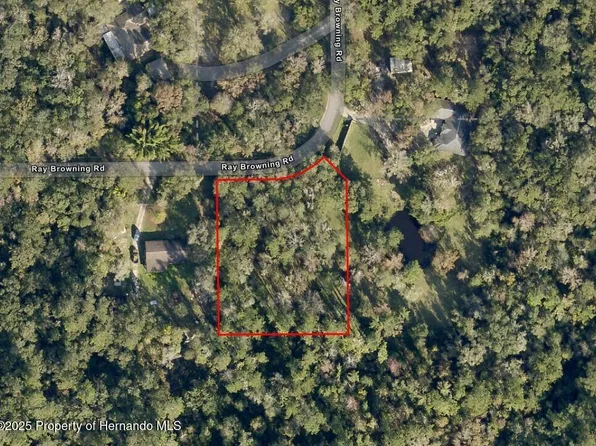 0 Ray Browning Rd, Brooksville, FL 34601