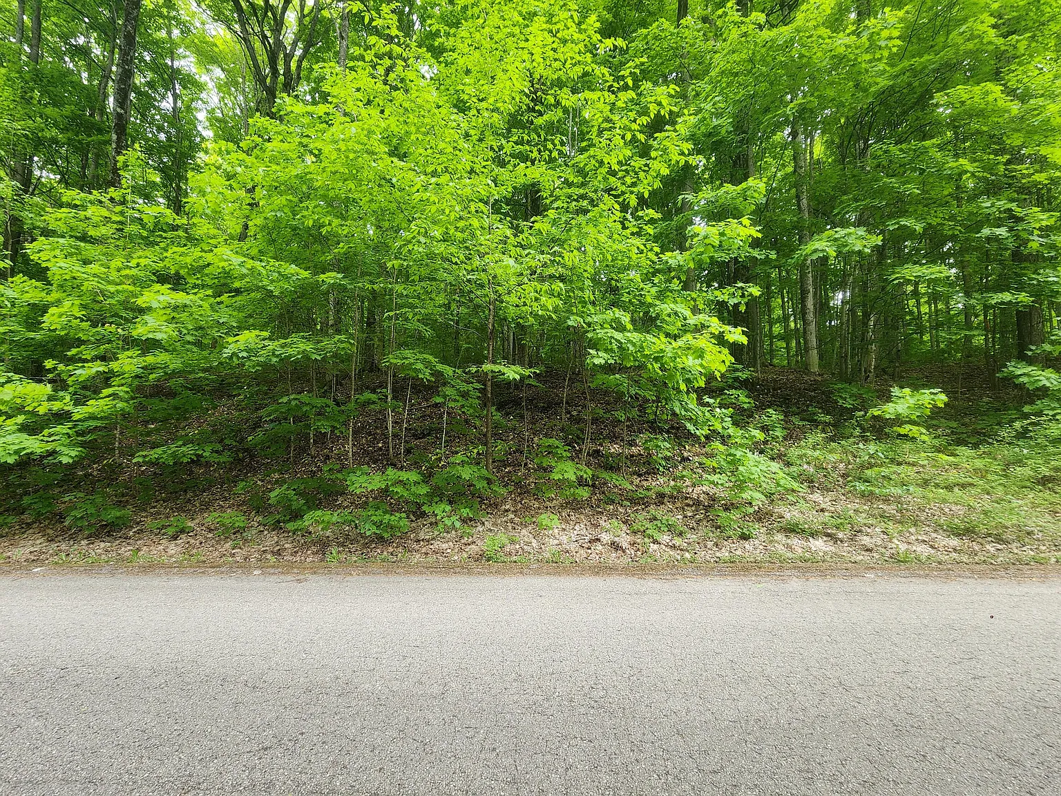 V/l 123ac Hlywa Dr photo 1