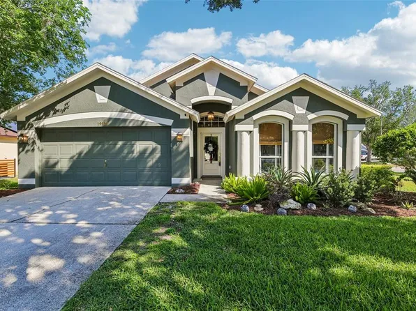 19918 Ellendale Dr, Land O Lakes, FL 34638