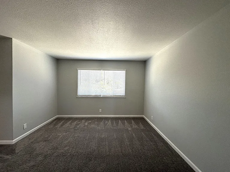 5324 Holiday Dr. — Photo 12