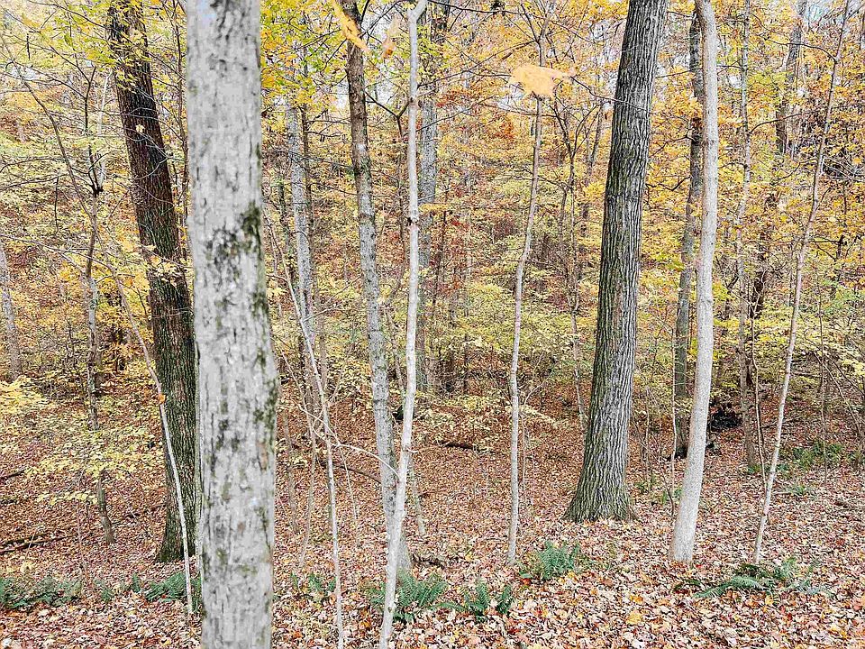 Remington Rd, Blacksburg, VA 24060 Zillow