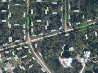 1244 Kumquat St, Lake Placid, FL 33852