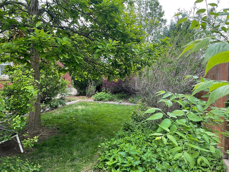Backyard photo (taken May 2023)