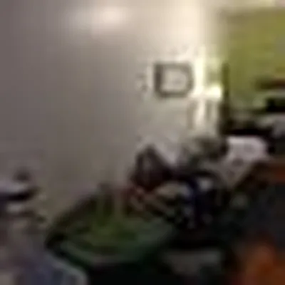 Rented by Elinor Taasa, LREB | media 36