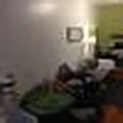 Rented by Elinor Taasa, LREB