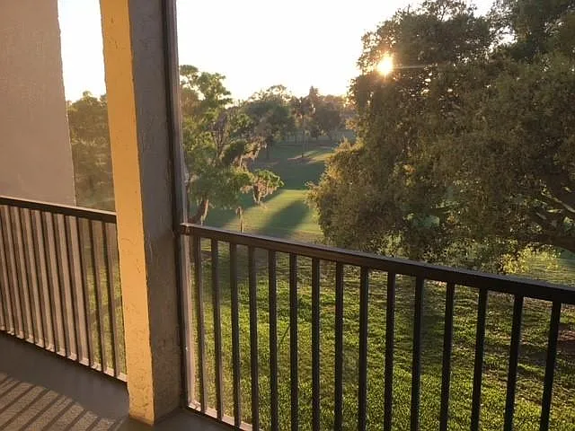 View from Lanai
