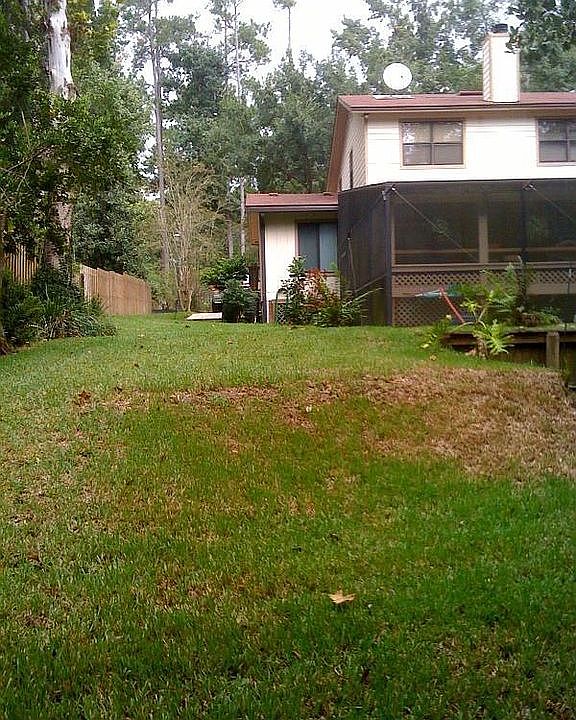 Side Yard looking at back of house towards enclosed pool