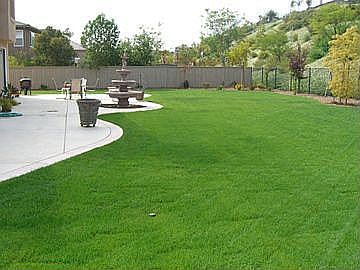 Large 20,000 Foot Lot