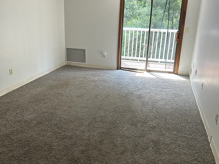 100 Cass Ave #17A — Photo 3