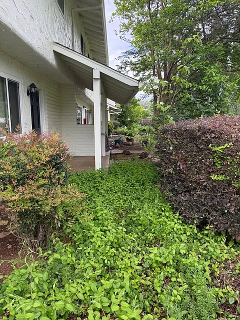 1462 Manzanita Avenue - 8 — Photo 2