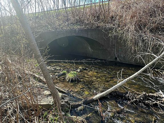 2nd image of Seymour Rd