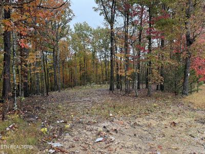 0 Crockett Crest Ln LOT 348, Jamestown, TN, 38556