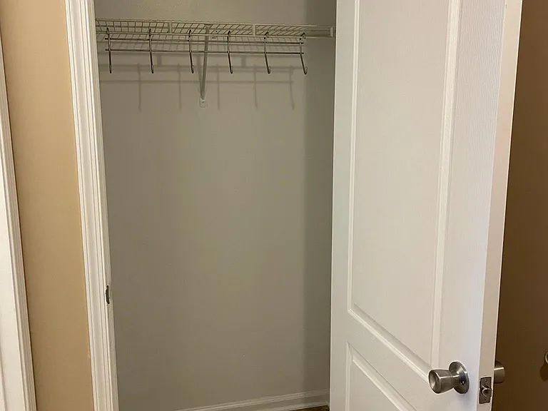 Downstairs closet