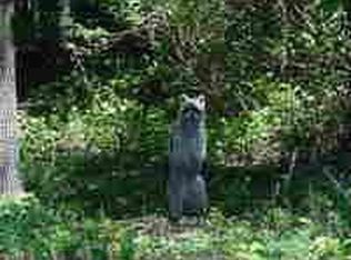 4120 Hampton Ln, Mims, FL 32754