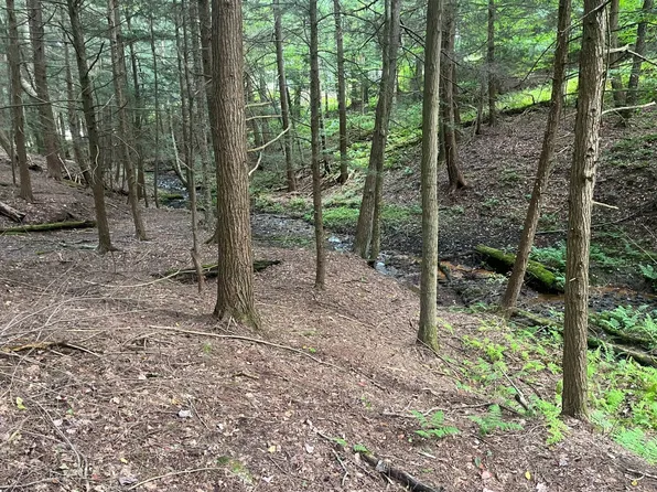 0 Hawthorne Hill Rd Lot Wp001, Brookville, PA 15825