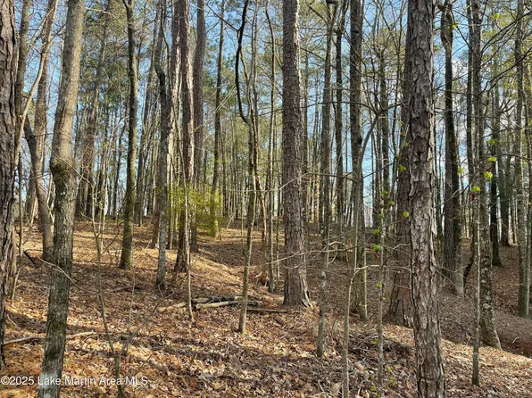 70 Restful Cv, Dadeville, AL 36853