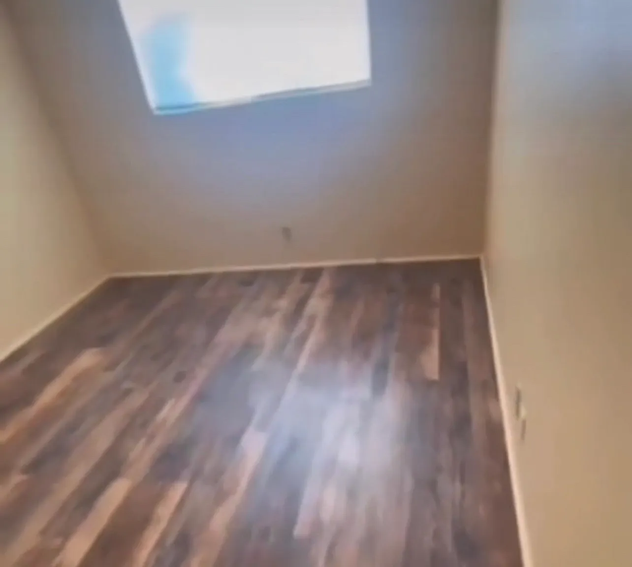 1 bed, $1,950 — Photo 4
