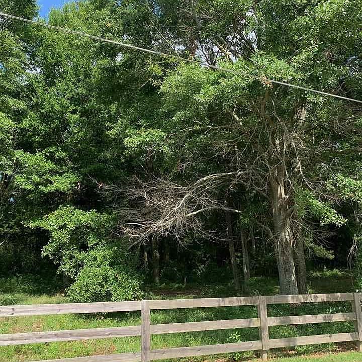 2nd image of 7903 Old Battles Rd