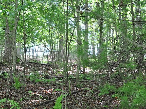 3rd image of 22 Deaver Cove Rd Lot 22