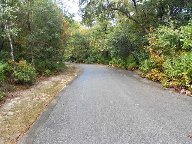 2nd image of 24 Nicole Forest Dr