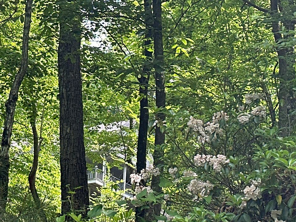 1st image of 823 N Duffer Dr