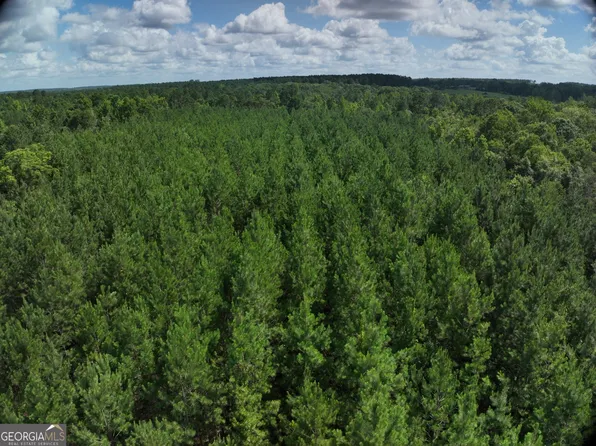 0 Payton Rd, Garfield, GA 30425