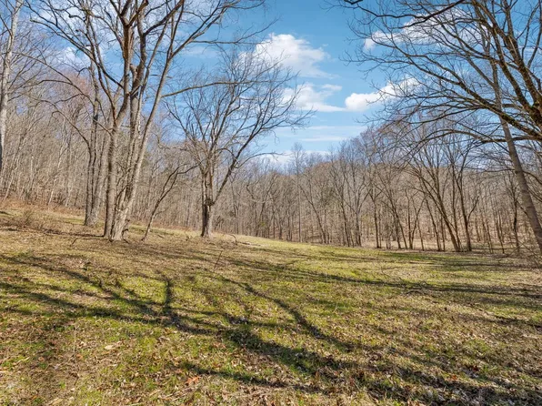 6528 Neelys Creek Rd, Celina, TN 38551