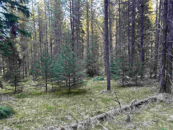 162 Coopers Ln, Elk City, ID 83525