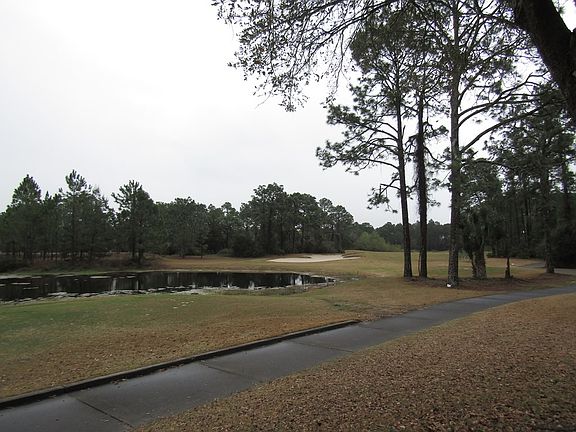 5th image of 122 Laughing Gull Ln