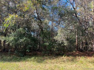 685 W Pitler Pl, Citrus Springs, FL 34434