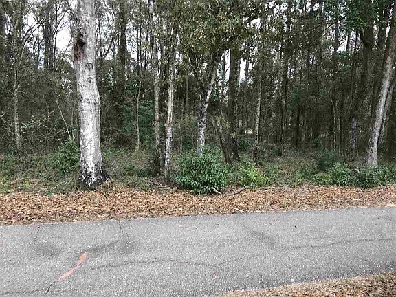 4th image of 20513-C E Silverhill Ave