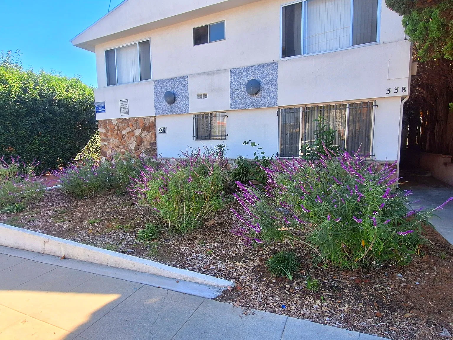 2 bed, 660 sqft, $2,295 — Photo 2
